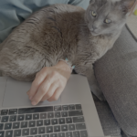 dash on lap