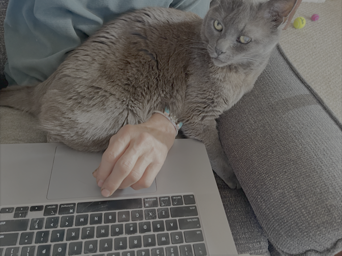 dash on lap