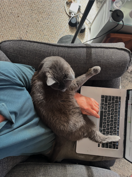 dash on lap